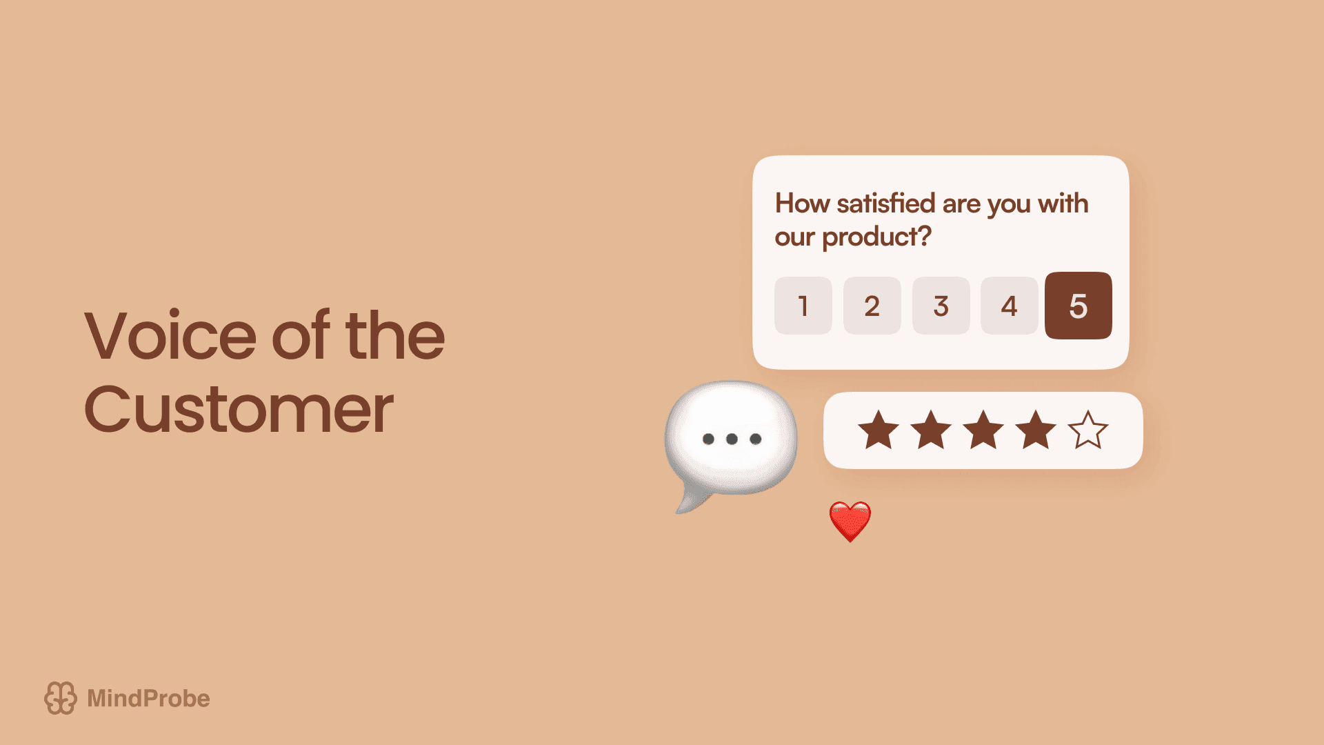 Voice of the Customer Programs: Building Better B2C Relationships Through Surveys